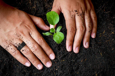 Image of ROQ Mens 4 Pack Step Edge Style 8mm Wide 4 Pack - Silicone Ring for Men - Step Edge Style